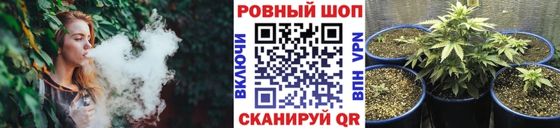 Купить наркоту Шлиссельбург Лсд 25  Конопля  МЕФ  ГАШ  COCAIN 