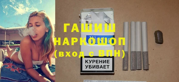 шишки Себеж