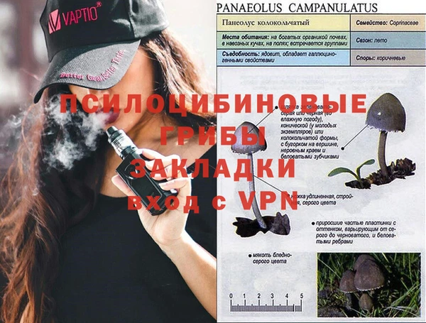 таблы Новокубанск