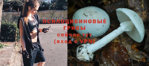 гашиш Нефтекумск