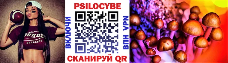 ссылка на мегу зеркало Шлиссельбург Псилоцибиновые грибы MAGIC MUSHROOMS